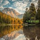 노루숲 Daum카페