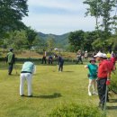용담호홍삼
