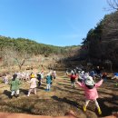 솜다리반, 참나리반의 2월 2주 숲놀이터 이야기 이미지