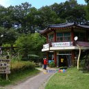 나무향기 차향기 이미지