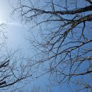 마들부동산공인중개사사무소 이미지