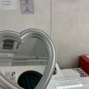 비비드 스킨 앤(&) 브로우 이미지