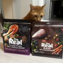 대한사료 | 고양이 사료 브랜드 추천 기호성도 좋아요!