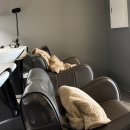 빌드201 | [안양/미용실추천] 트렌디한 인덕원 미용실 추천 커트 잘하는 곳, 허뮤즈헤어 긴머리 빌드펌 후기