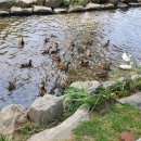 천천스크린 이미지