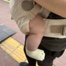 아이엔젤 닥터다이얼 네스타 크림베이지 외출 후기