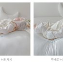 제이앤디자인 이미지