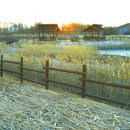 시흥갯골생태공원의 겨울풍경 3편 이미지