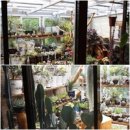 산천칡냉면부대찌개 이미지