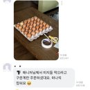 한솥도시락길병원앞점 | [11월 일상(2)] 0과 1의 미로가 보여