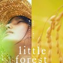 포레스트2 이미지