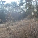 강남동로7 이미지