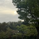 (주)서진리싸이클 | 왠지 모르게 미안한 8학점의 시험기간🌷🥪🥲(서울숲 튤립축제, NCT 꼬마즈그로서리스토어, 앤드밀 약과...
