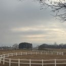 강원대학교 동물생명과학대학 부속목장 네이버블로그
