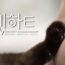 하트펫동물병원 이미지