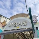 창신로 | 청주 붕어빵 맛집 사창시장 요즘붕어빵, 두바이초코 붕어빵 후기