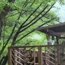 소금꽃정원 이미지