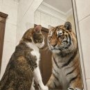 41590-02-03-15 | #03-02, 0레벨의 인생을 살고싶어