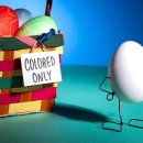 테리보더의 먹고+즐기고+ 사랑하라 이미지