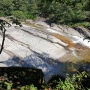 무릉이가 이미지