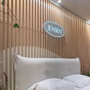 한들농장 | 몸에 맞는 최적의 침대를 찾아 침대학 박사 학위 취득 후기.에이스부터 헤스텐스 까지 매장 다 돌아봄...