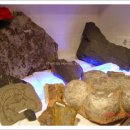 영월화석박물관 이미지