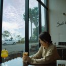 사우쓰캘리 이미지