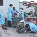 중앙애견 이미지