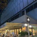 분당-341 | 분당타코 맛집 추천 l 갓잇 분당야탑점 솔직후기