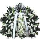 [부고] 진이 님 상배 이미지