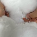 씨유 유가제일풍경채점 | 반려견스타일리스트3급 2급 시험장 안내/시험 후기/한국애견협회/시험결과확인