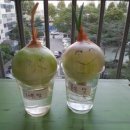 참좋은태권도 이미지