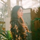 할스바나 이미지