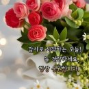 일요일 이미지