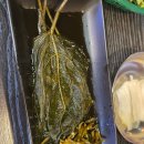 고기굽는놈 | [건대 애견동반 고깃집] 고기굽는놈 – 소고기 돼지고기 몸보신 데이트 내돈내산 방문후기