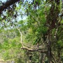 블루라군 이미지