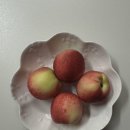 덕성식품 | 7월 파라스파라 후기(이제는 안토가 돼버린)