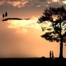 해피소울 이미지