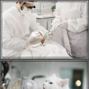 내남의원 | 핵인싸템 구강꿀팁 대방출! 간식부터 양치법까지 싹 알려줄게!