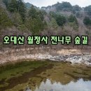 초록쌤 이미지