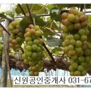 준선농장 이미지