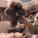 호주면세점 가좌시장점 | 12월 시드니 신혼여행 3일차 (시드니 면세점 | 가성비 스테이크 맛집)