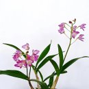 그대안의 풍경 이미지