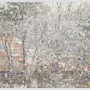 신도펜션 이미지