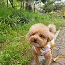 5월 둘째 주) 스위치온 다이어트 유지기 후기와 일상