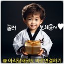 아리랑태권도 원신흥관 이미지