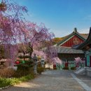 천안역 관광안내소 이미지