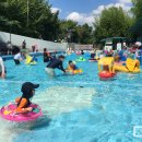 오마이랜드부산 이미지