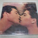 끝없는 사랑(ENDLESS LOVE) LP 이미지