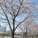 양산호수공원 이미지